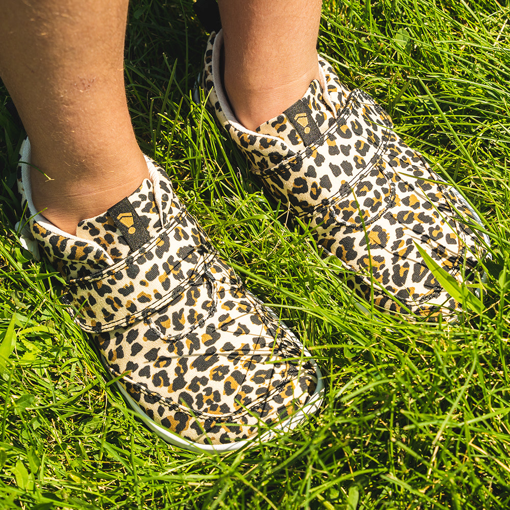EXPLORE 2.0 Leopard